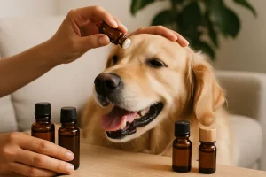 Veilig gebruik van etherische oliën